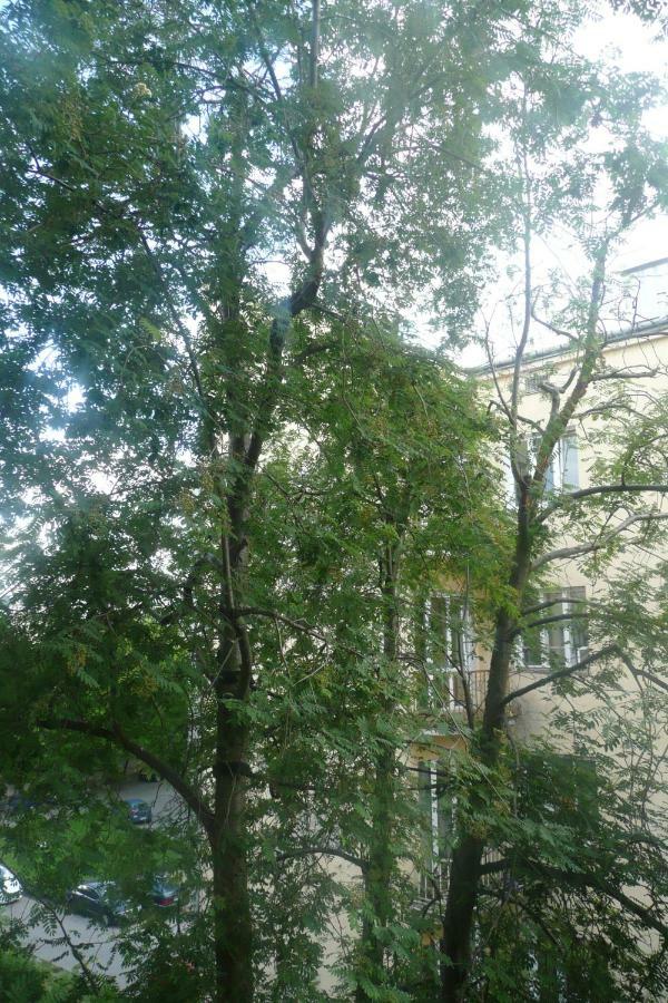 Sunny Wisla River Apartment Варшава Экстерьер фото